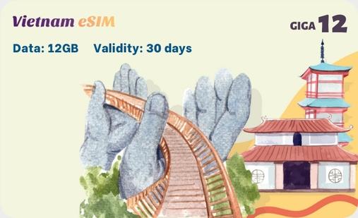 SIMとは何ですか？ベトナムで使えますか？eSIMの移行の仕方は？(Japanese)